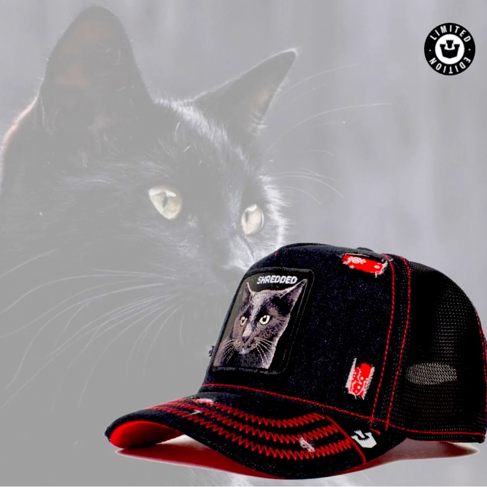 Goorin Bros - Limited Edition “Shredded Cat”